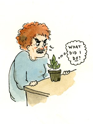 Cartoon of a woman staring angrily at a plant